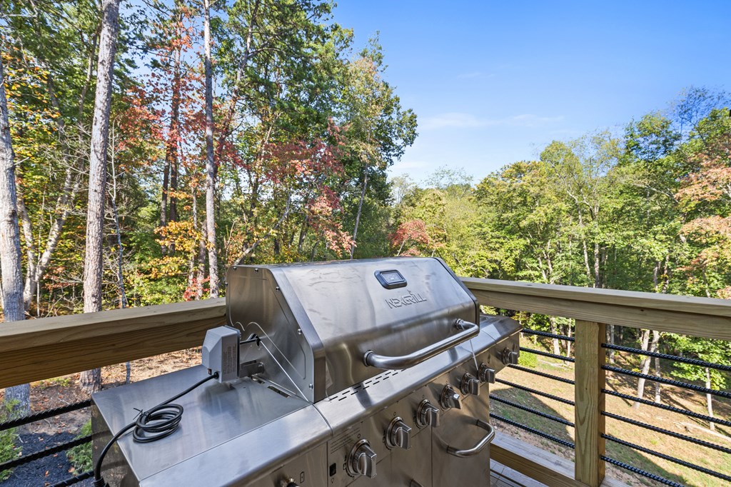 245 East Shalom Court Blue Ridge, GA 30513 - Photo 53 of 78