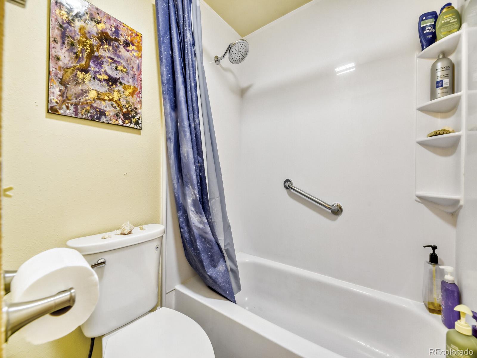 15 Gi-Gi Lane Evergreen, CO 80439 - Photo 15 of 28