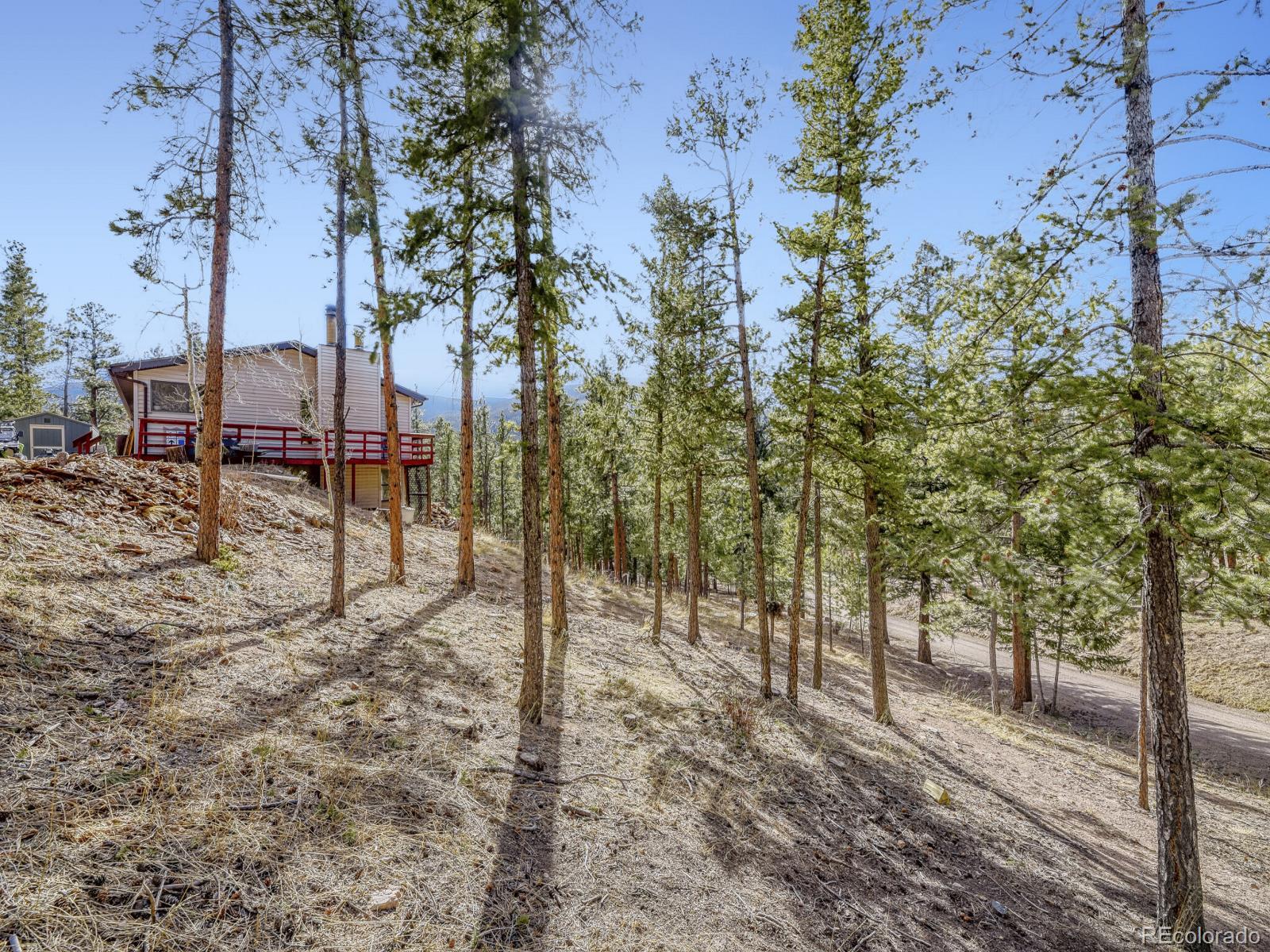 15 Gi-Gi Lane Evergreen, CO 80439 - Photo 20 of 28
