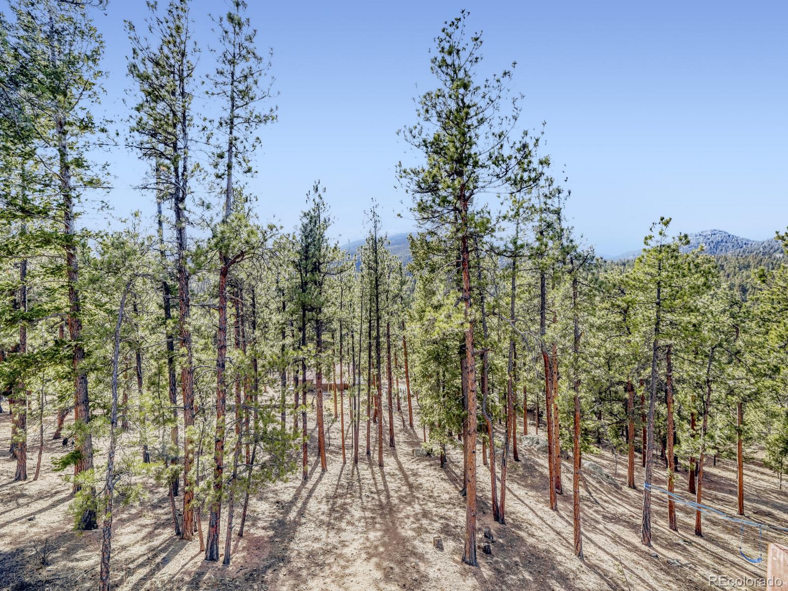 15 Gi-Gi Lane Evergreen, CO 80439 - Photo 25 of 28