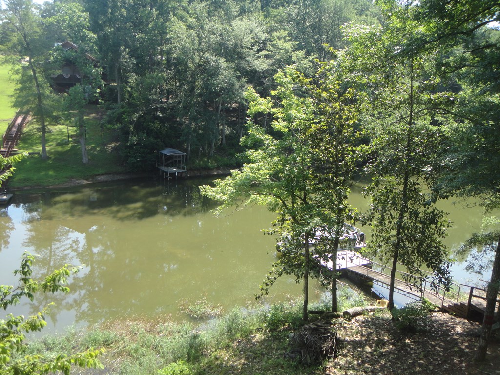 707 Calhoun Road Abbeville, AL 36310 - Photo 12 of 23 Dock