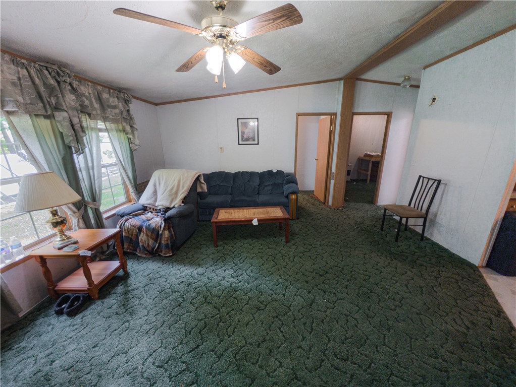 8699 Mattoon Road Cohocton, NY 14826 - Photo 17 of 43
