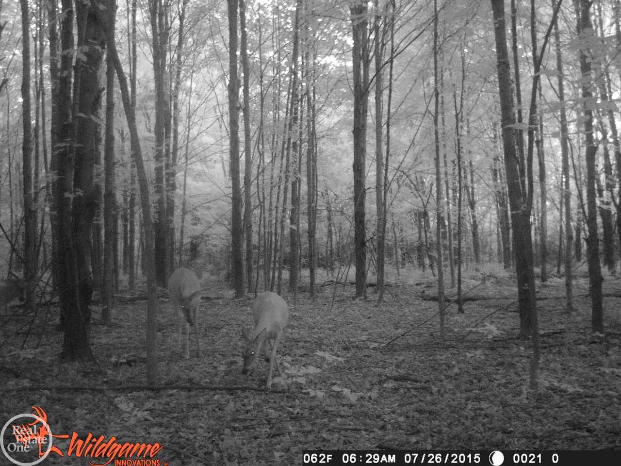 68757 Hartway Road Ray, MI 48096 - Photo 6 of 9