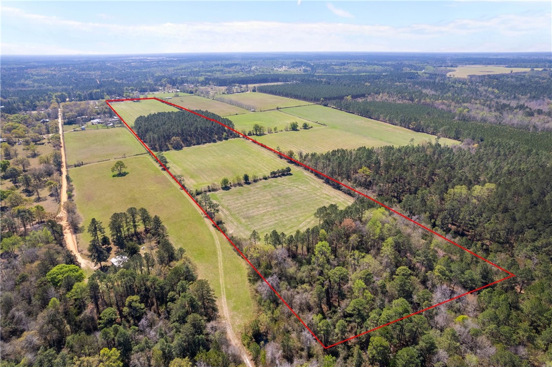 1 Hubert Johns Road Jesup, GA 31545 - Photo 7 of 17