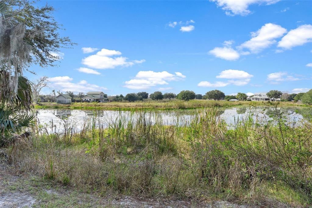 39320 Lake Norris Road Eustis, FL 32736 - Photo 80 of 94 Gallery Image 80