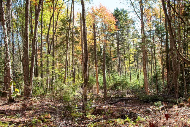 $649,000 | 91 Venheim Road, Lunenburg, VT 05906