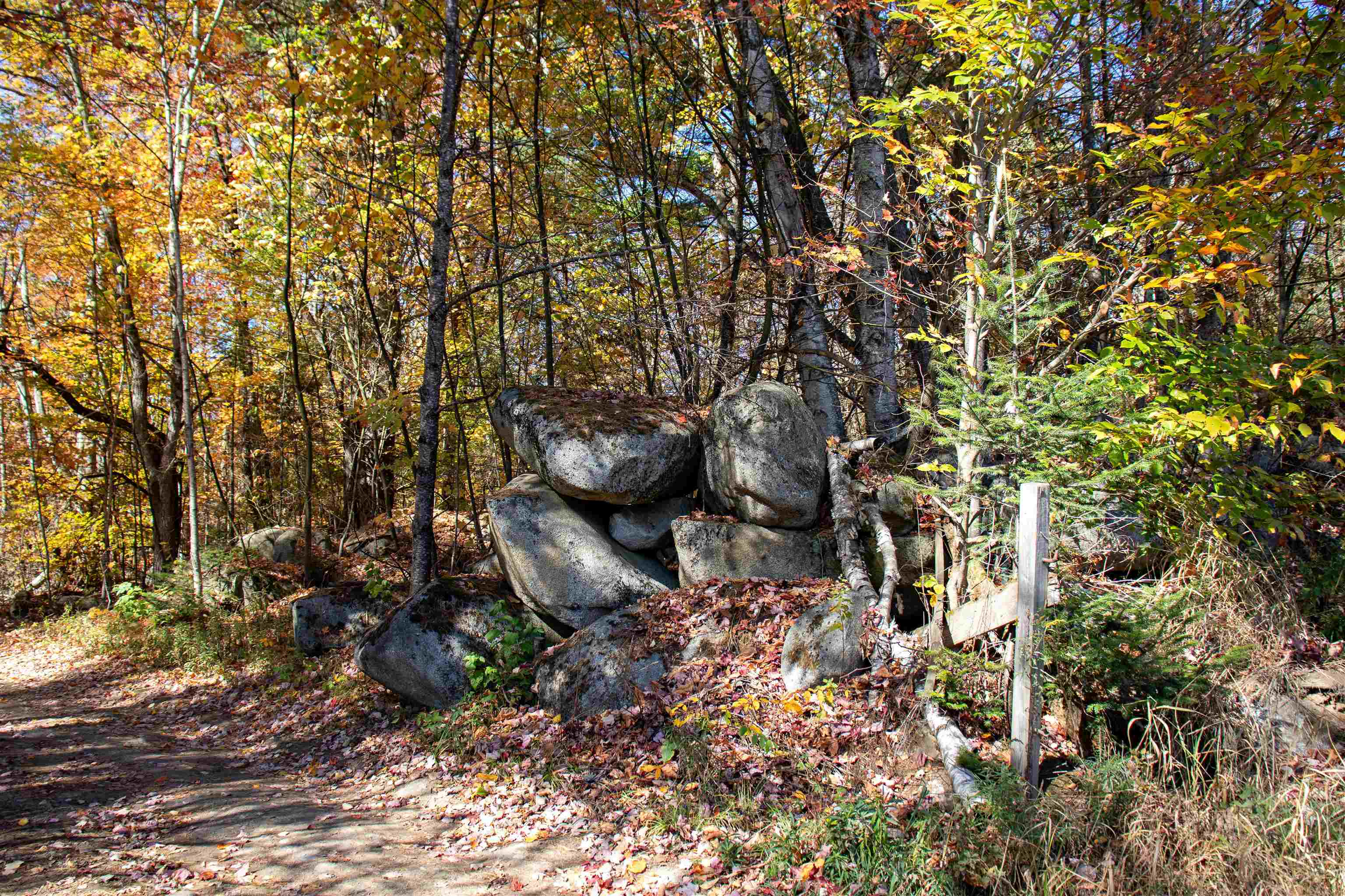 91 Venheim Road, Unit 1 Lunenburg, VT 05906 - Photo 51 of 60