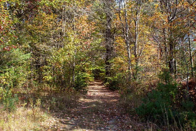 $649,000 | 91 Venheim Road, Lunenburg, VT 05906