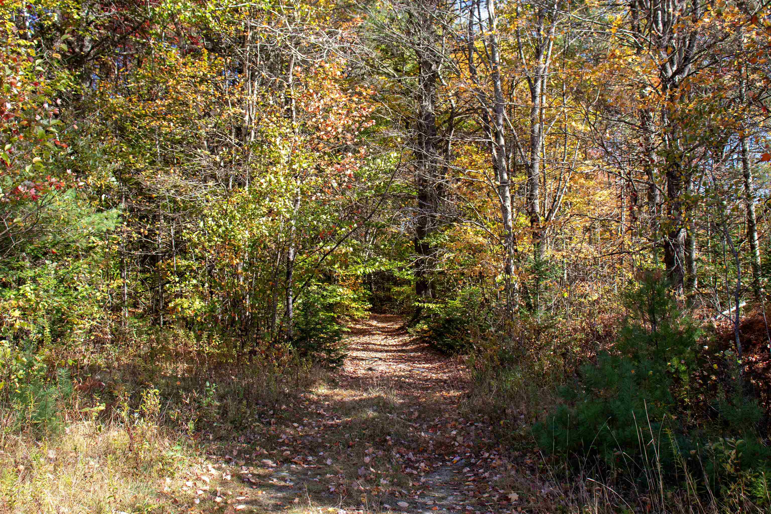 91 Venheim Road, Unit 1 Lunenburg, VT 05906 - Photo 7 of 60