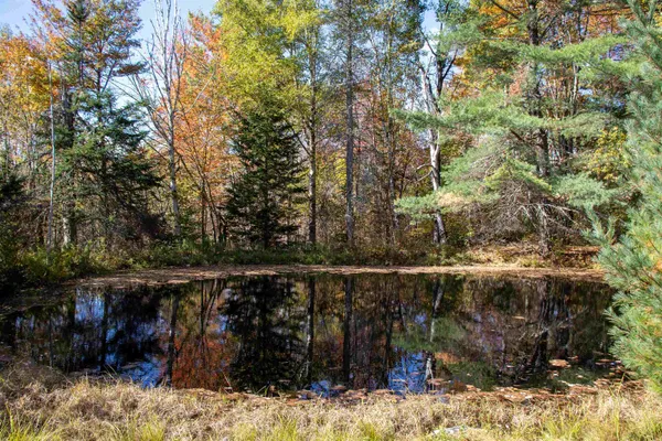 $649,000 | 91 Venheim Road, Unit 1, Lunenburg, VT 05906