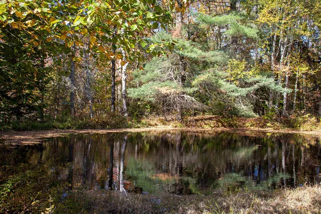 $649,000 | 91 Venheim Road, Lunenburg, VT 05906