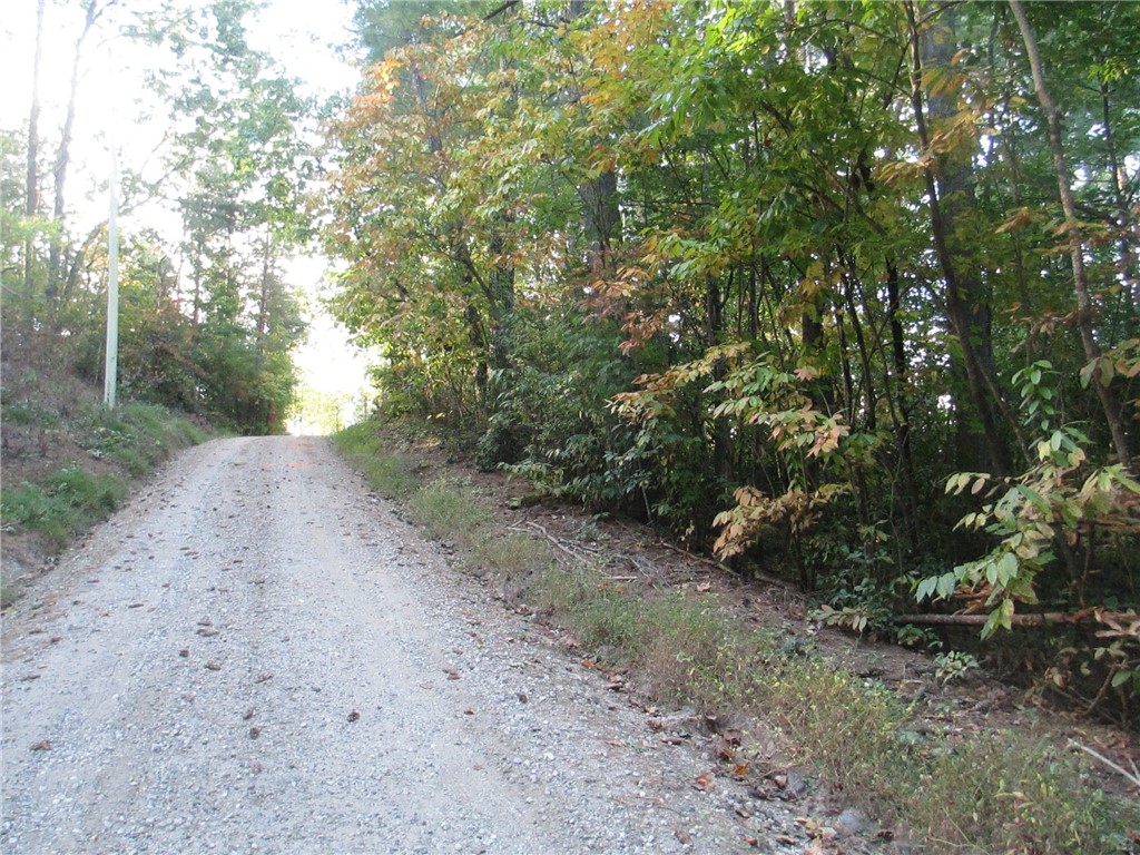 Lot 15 Cherokee Ridge Road Tamassee, SC 29686 - Photo 3 of 9 Gallery Image 3