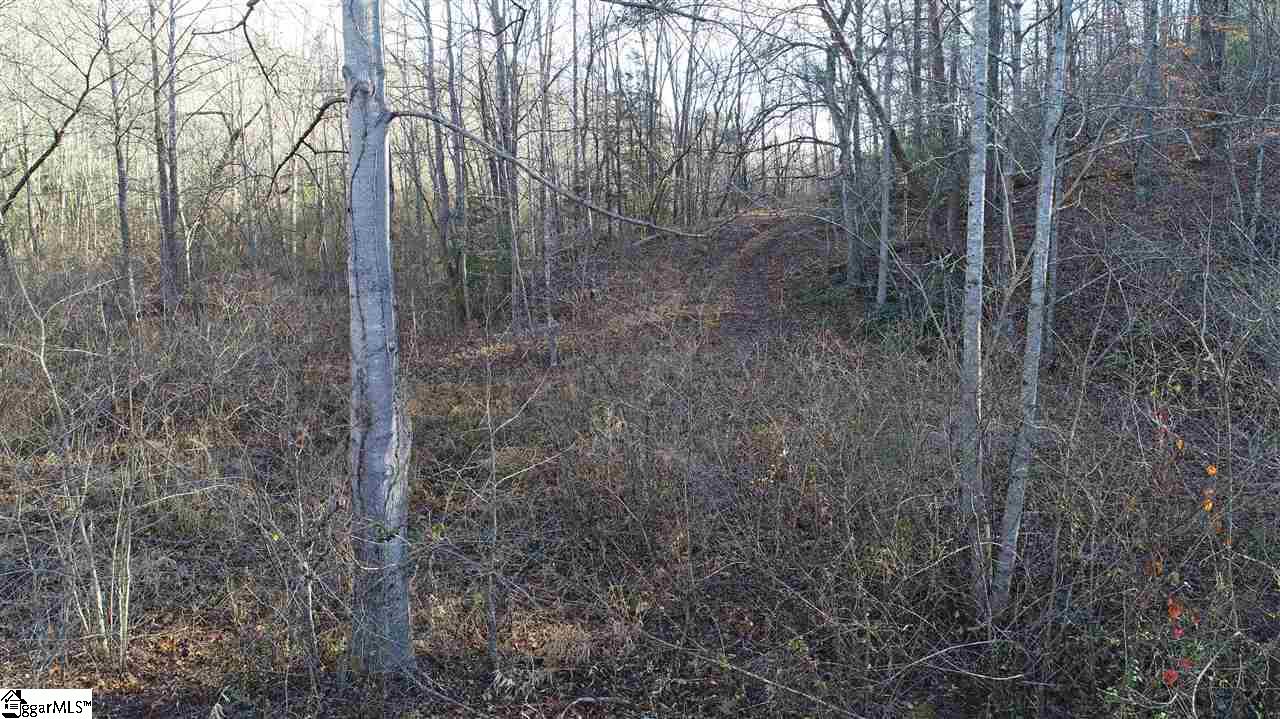3 Rabbit Road Travelers Rest, SC 29690 - Photo 2 of 23