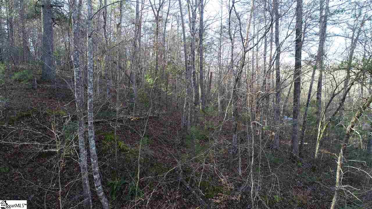 3 Rabbit Road Travelers Rest, SC 29690 - Photo 19 of 23