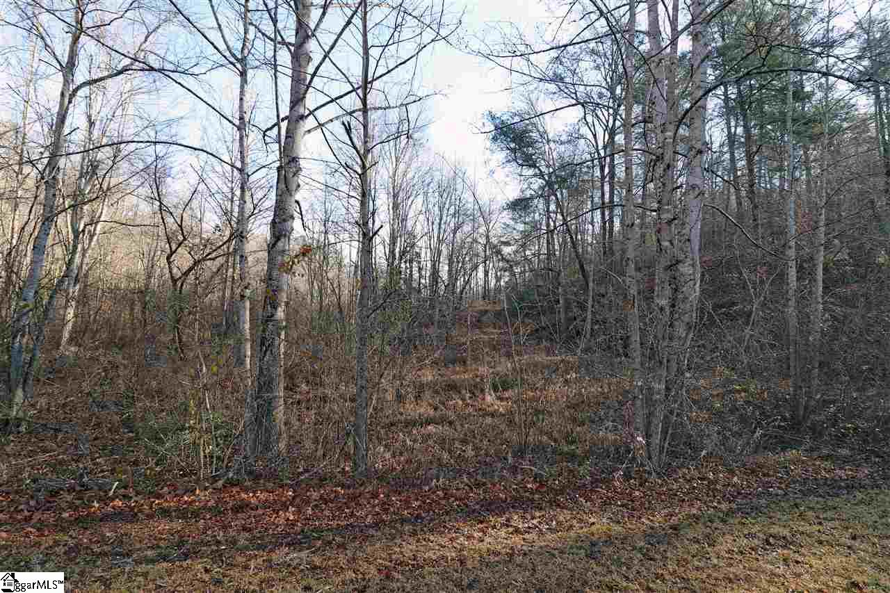 3 Rabbit Road Travelers Rest, SC 29690 - Photo 21 of 23