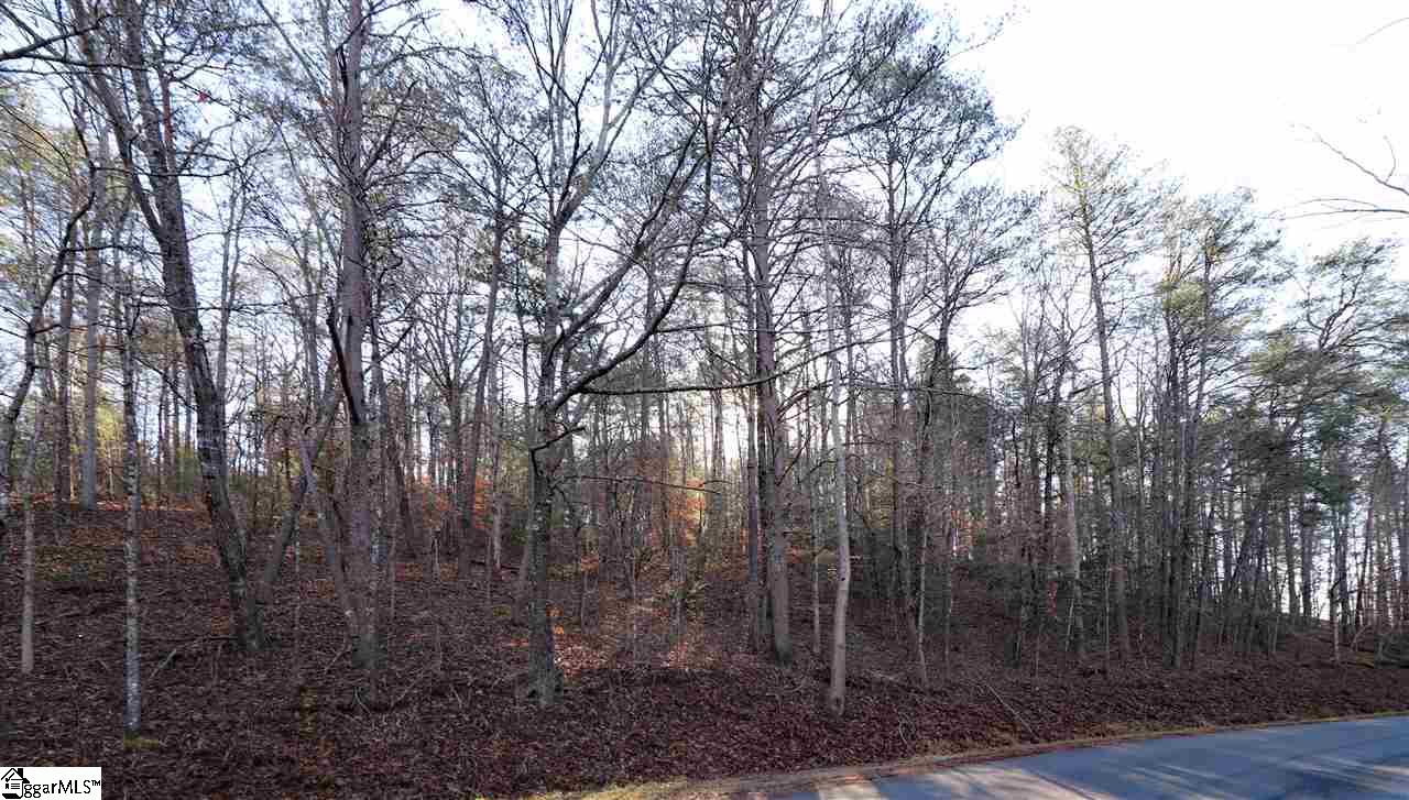 3 Rabbit Road Travelers Rest, SC 29690 - Photo 22 of 23