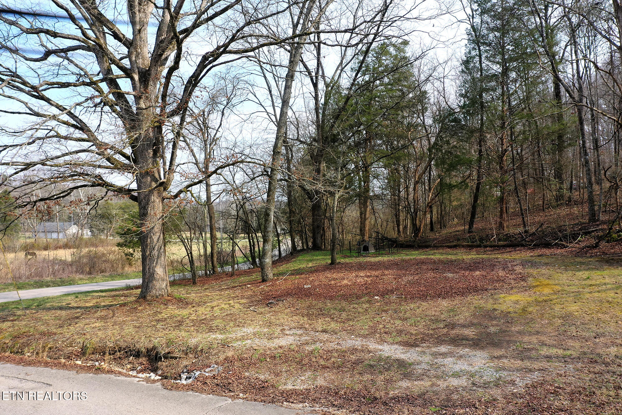 301 Gage Road Philadelphia, TN 37846 - Photo 24 of 33 301 Gage N26_037