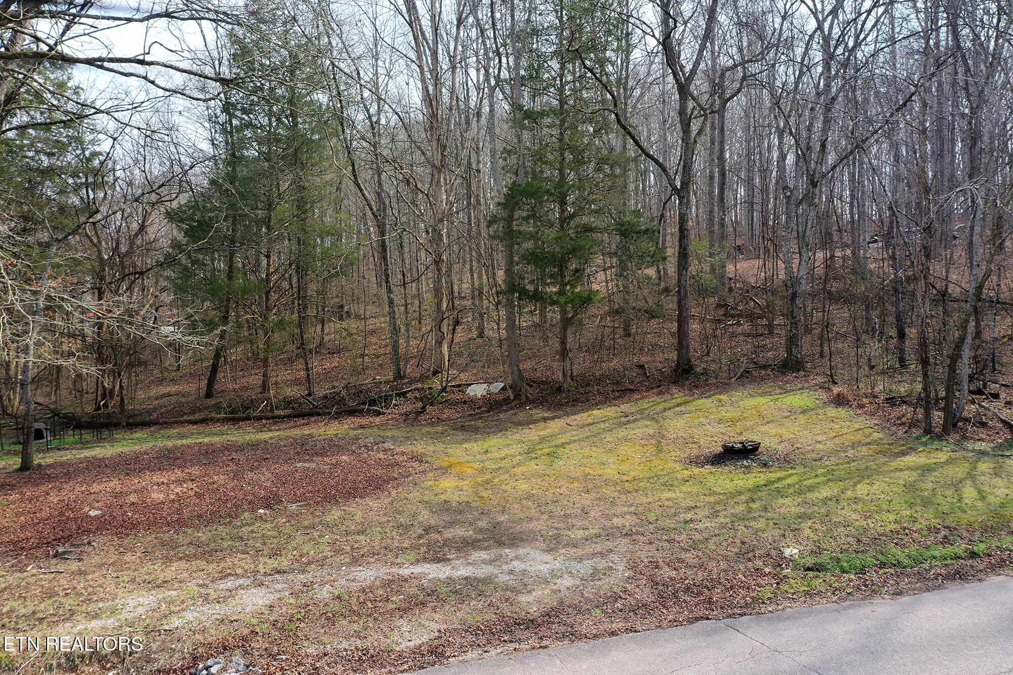 301 Gage Road Philadelphia, TN 37846 - Photo 25 of 33 301 Gage N26_038