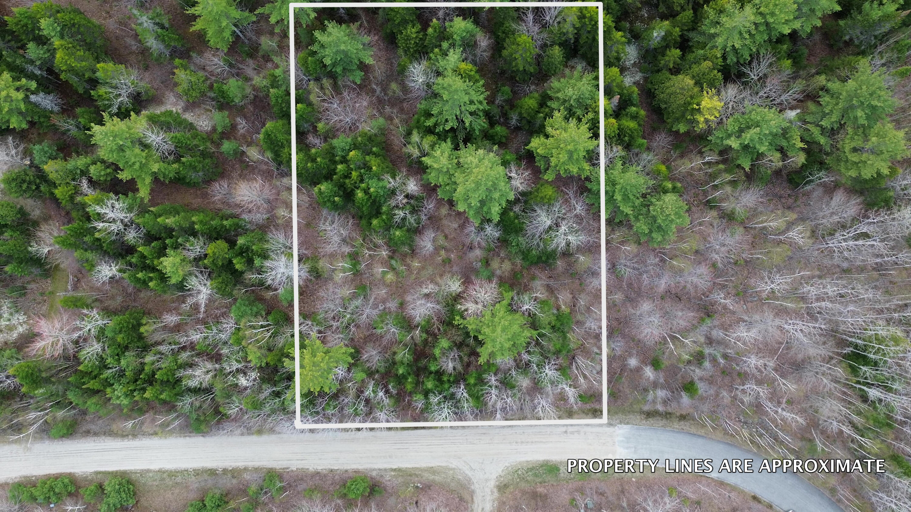 Map 6, Lot #1