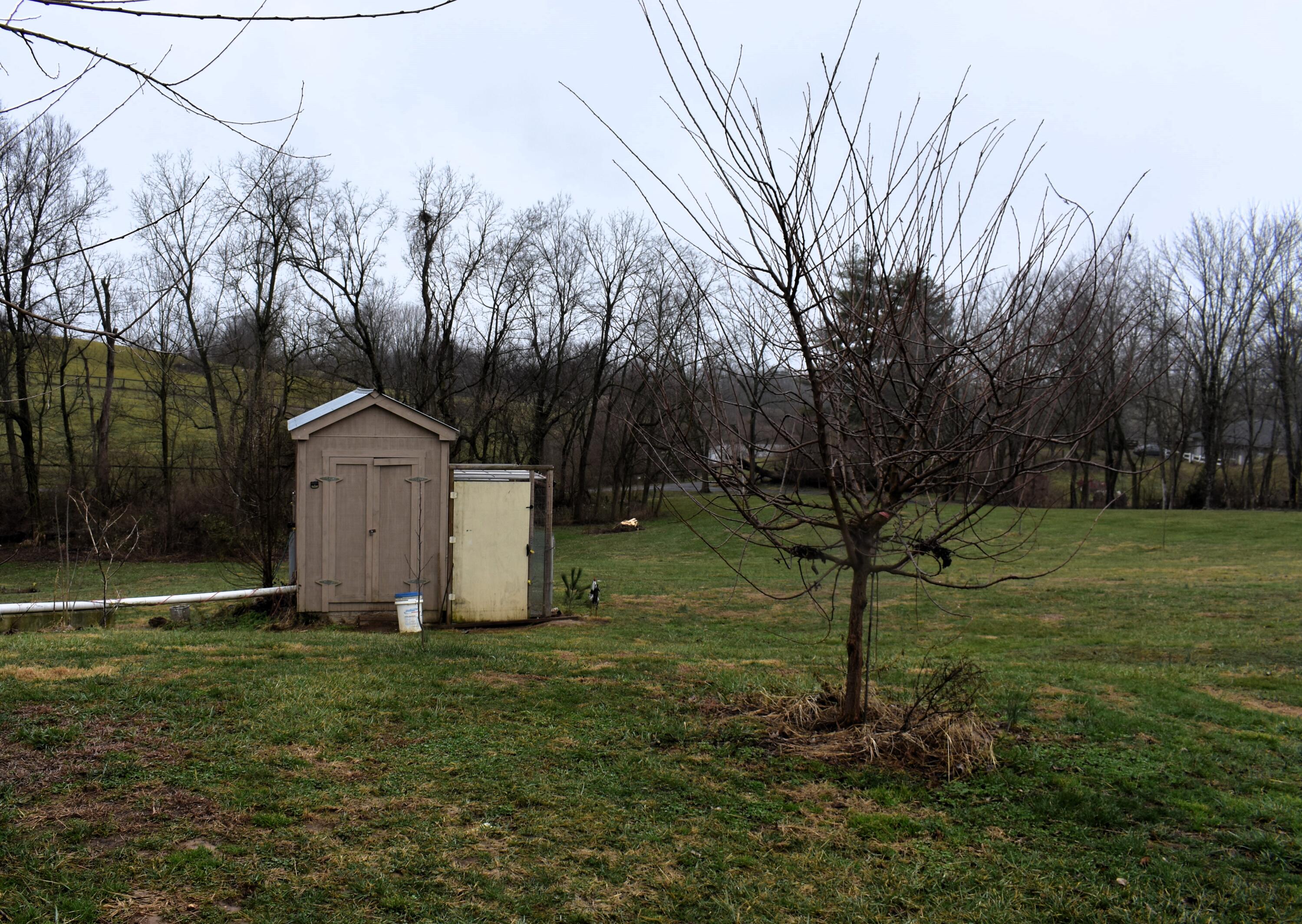3022 Airport Road Danville, KY 40422 - Photo 34 of 42 side yard