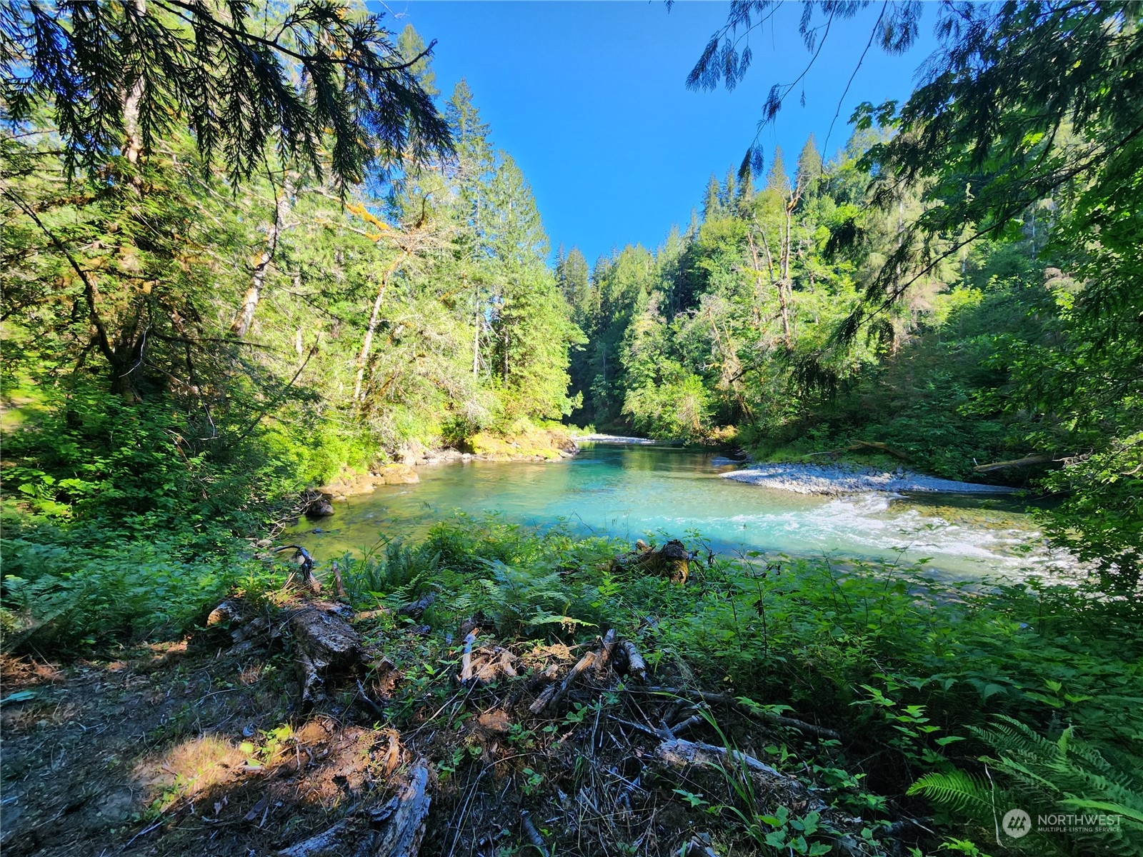 615 Coyote Road Brinnon, WA 98320 - Photo 1 of 21 Gallery Image 1