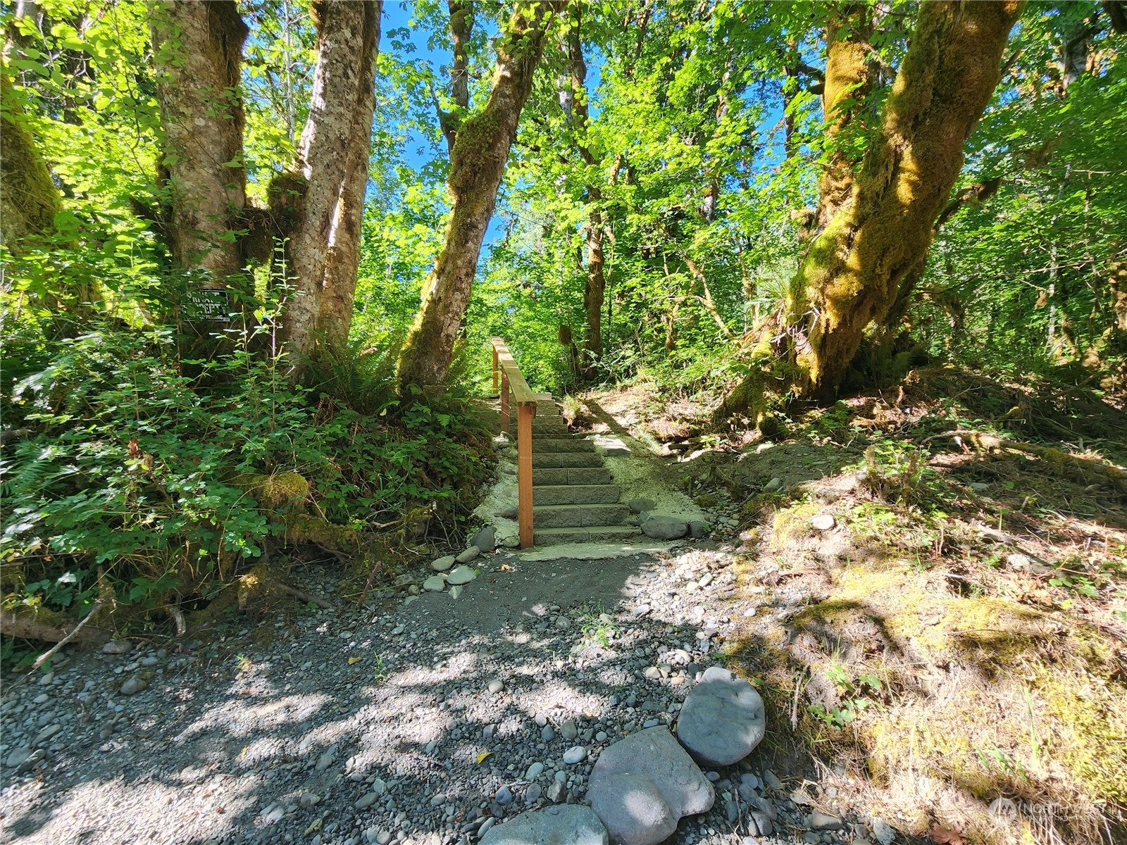 615 Coyote Road Brinnon, WA 98320 - Photo 17 of 21 Gallery Image 17