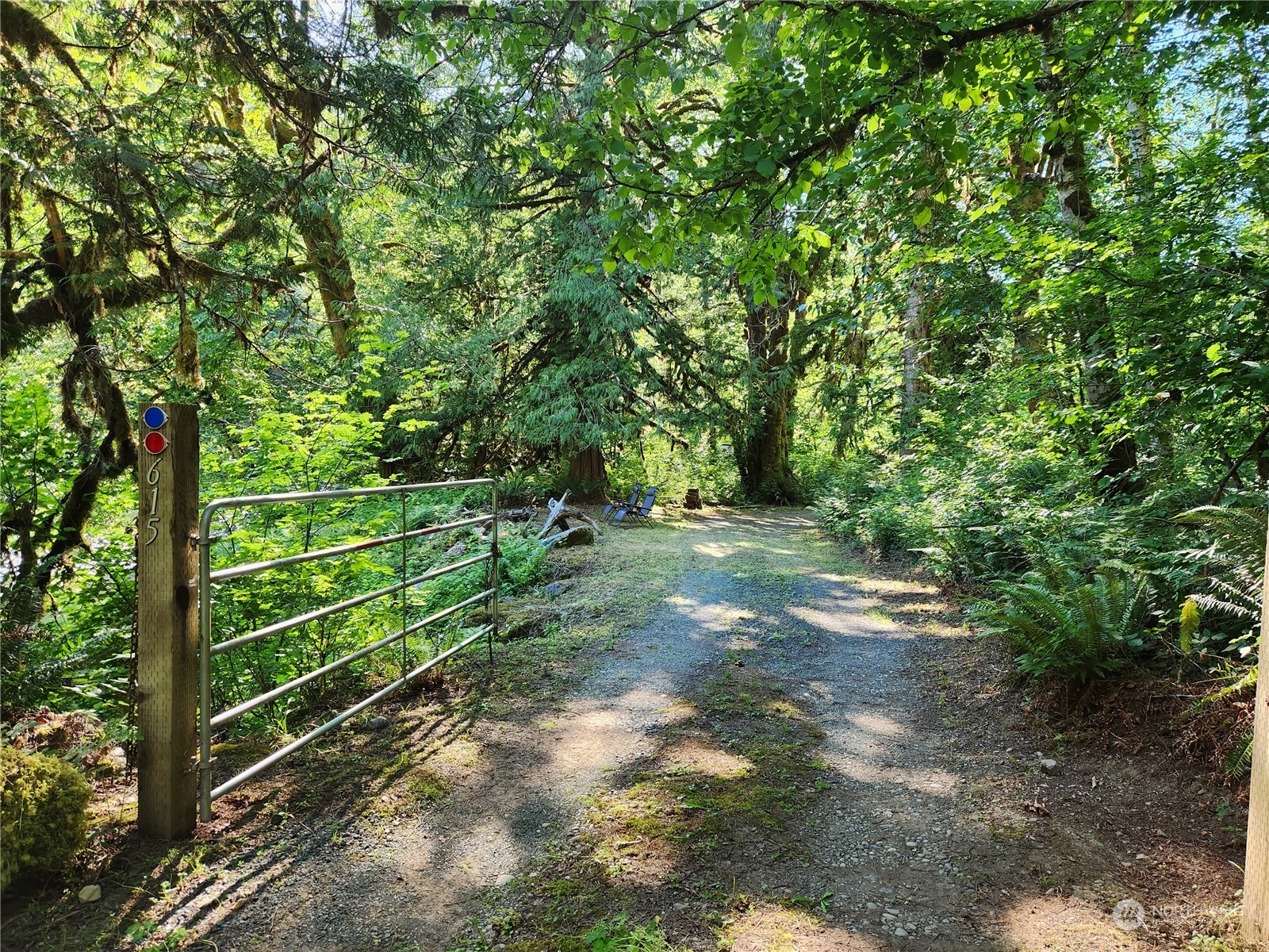 615 Coyote Road Brinnon, WA 98320 - Photo 2 of 21 Gallery Image 2