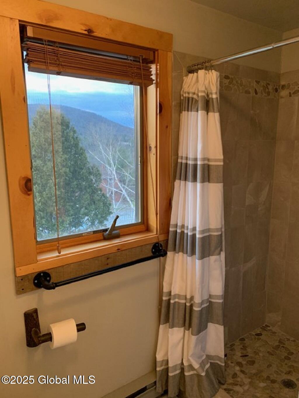 5 Freebern Road, Unit 5D North Creek, NY 12853 - Photo 11 of 12 5D Master Bath