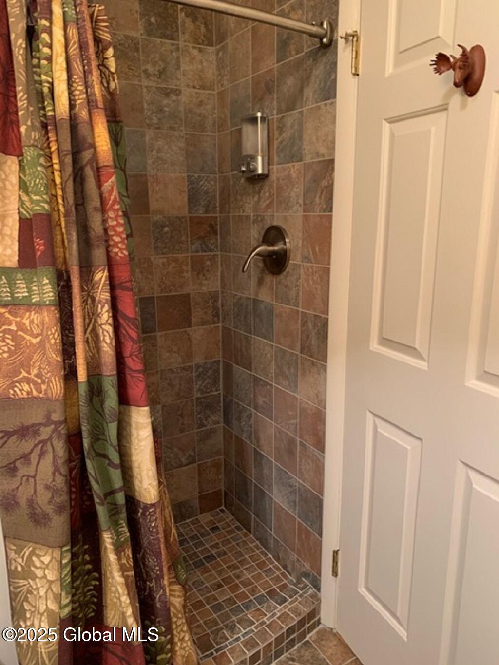 5 Freebern Road, Unit 5D North Creek, NY 12853 - Photo 10 of 12 5D Dnstrs. Shower