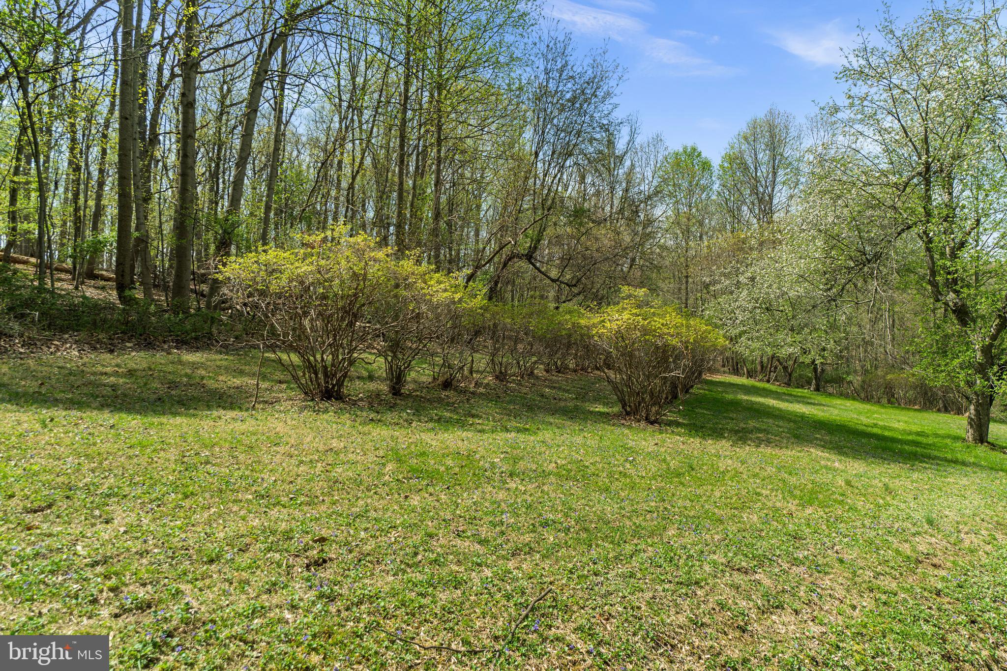 2062 Harvey Gummel Road Hampstead, MD 21074 - Photo 52 of 69 Blueberry Bushes