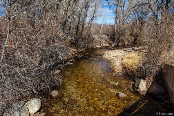 a view of a yard with trees