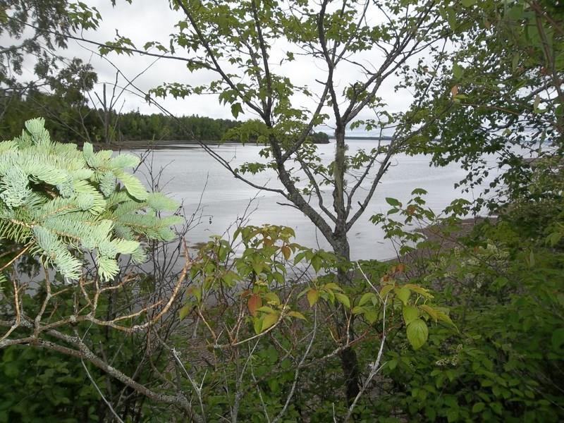 M16-l33 Gin Cove Road Perry, ME 04667 - Photo 1 of 4 Photo