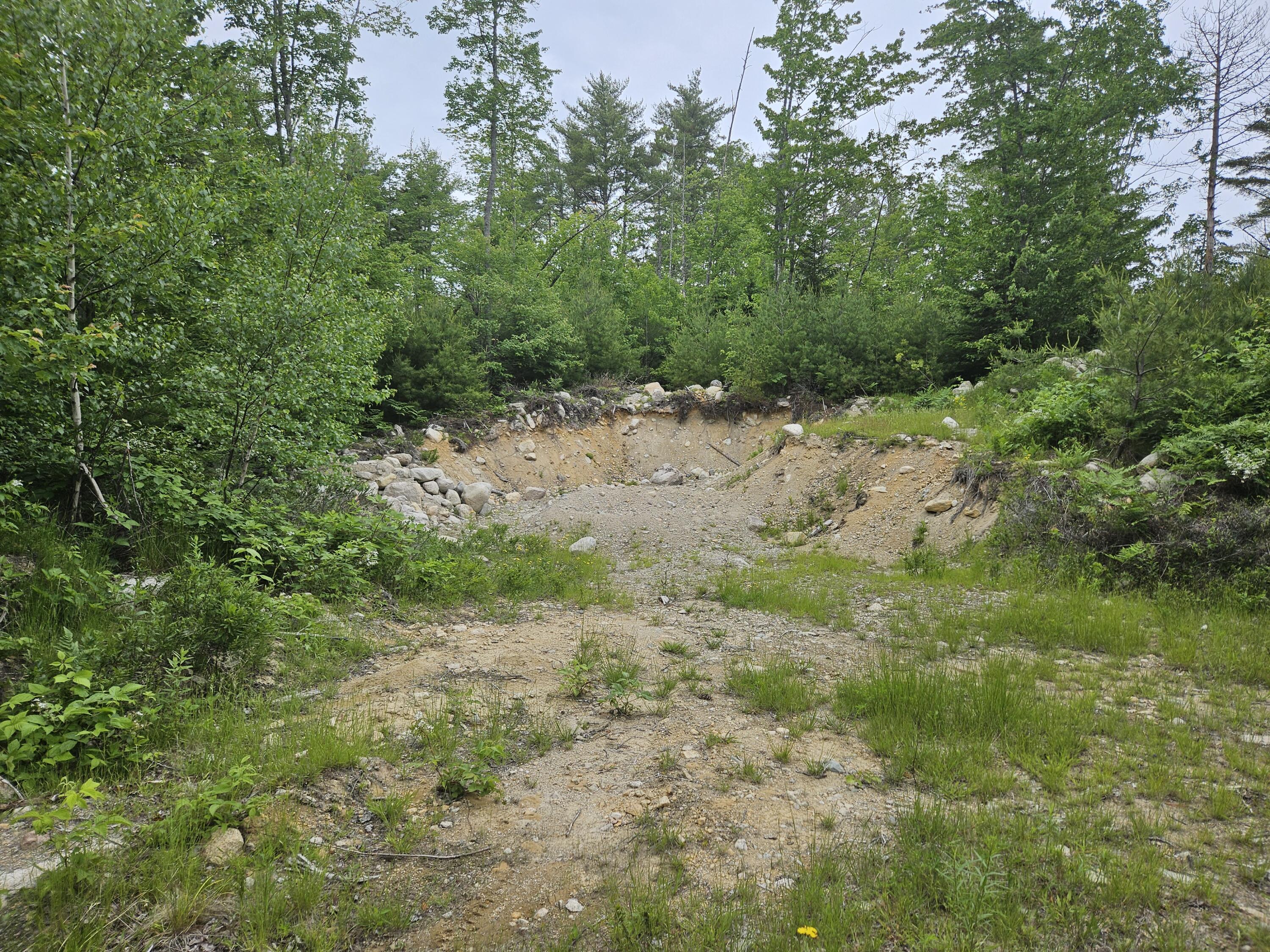 M17-l5&11 Number 7 Road Steuben, ME 04680 - Photo 7 of 27 Small Gravel pit on Route 1 lot