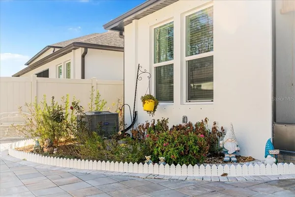 a view of a dry yard