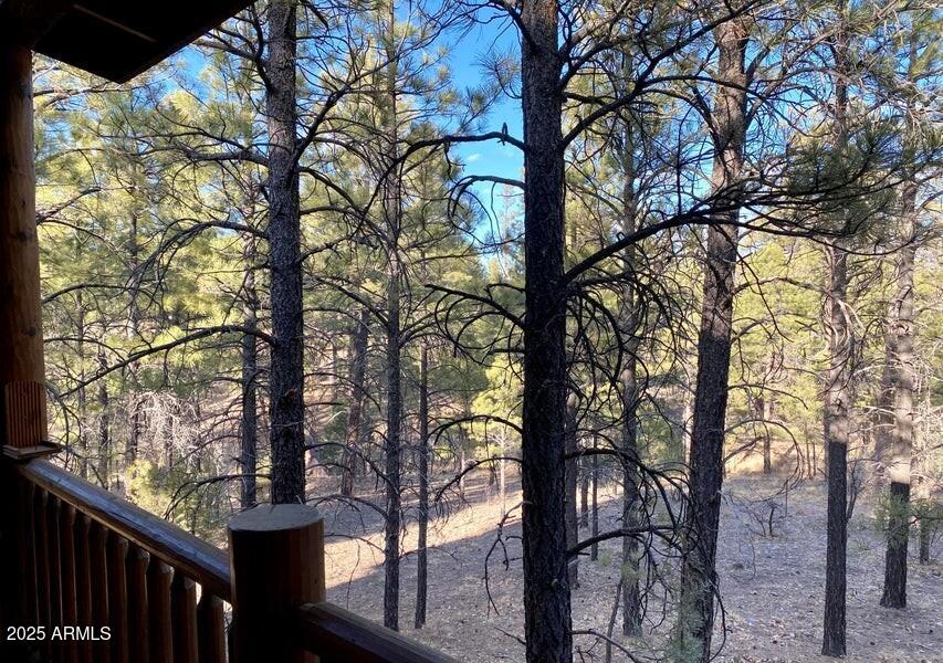 1100 South Pinon Drive Show Low, AZ 85901 - Photo 22 of 30