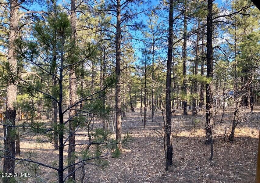 1100 South Pinon Drive Show Low, AZ 85901 - Photo 24 of 30 a view of forest