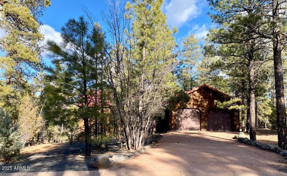 1100 South Pinon Drive Show Low, AZ 85901 - Photo 3 of 30 a view of road with trees