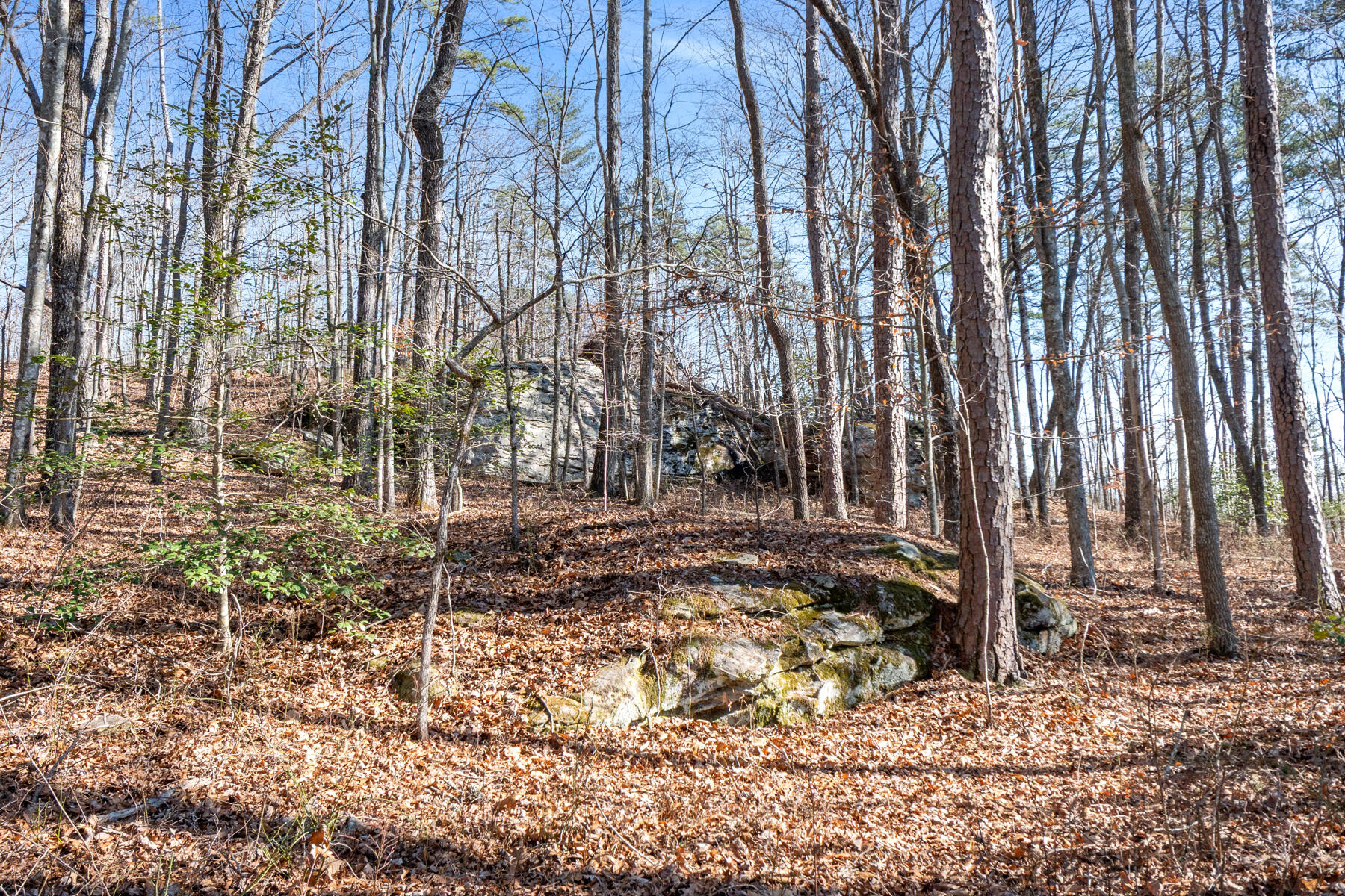 0 Tall Tree Trail, Unit 406 Dunlap, TN 37327 - Photo 14 of 22 dsc03076