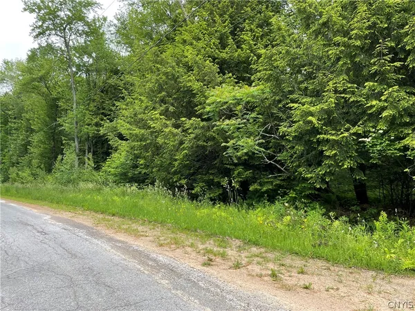 $49,900 | 0 North Hillsborough Road, Camden, NY 13316
