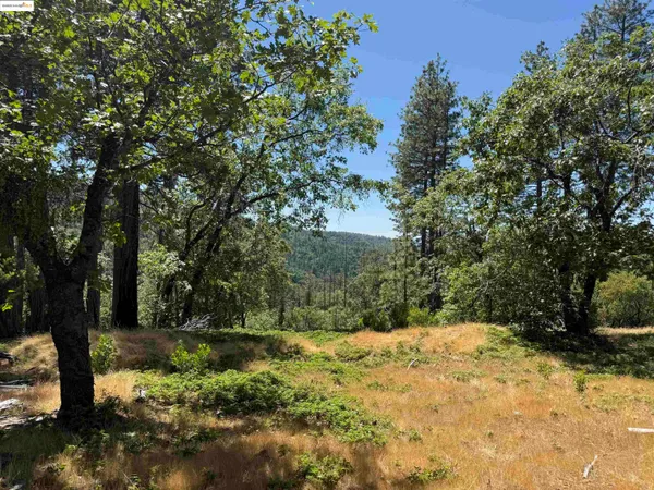 $199,900 | 0 Forest Service Road, Sonora, CA 95370