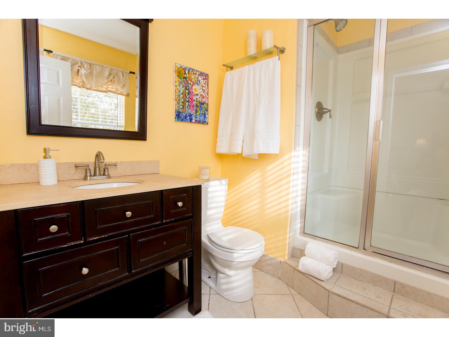 4938 Cabin Run Road Pipersville, PA 18947 - Photo 18 of 21 Master Bathroom