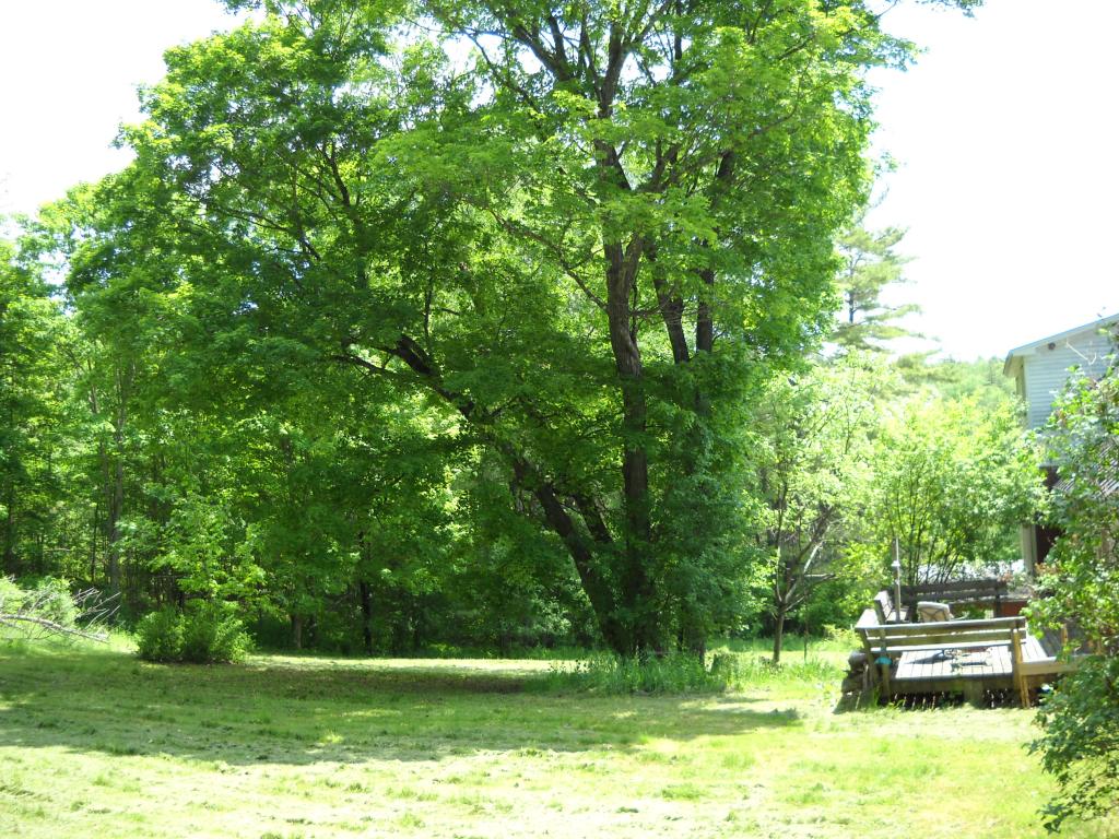 485 Bragg Hill Road Fairlee, VT 05045 - Photo 4 of 15