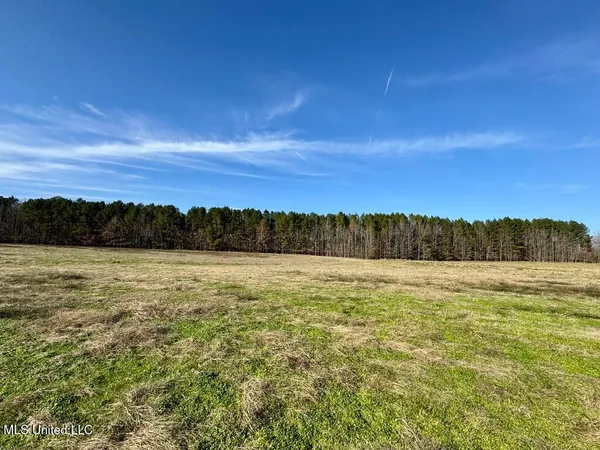$74,500 | 2 Johnson Line Road, Bolton, MS 39041