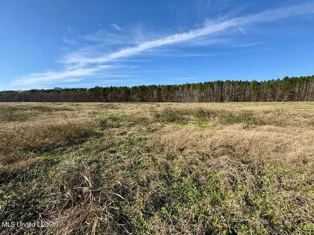 $74,500 | 2 Johnson Line Road, Bolton, MS 39041