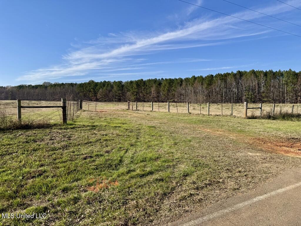 2 Johnson Line Road Bolton, MS 39041 - Photo 13 of 16 3AAF99F5-D2A0-45F5-A703-A615AA55F63E_1_1