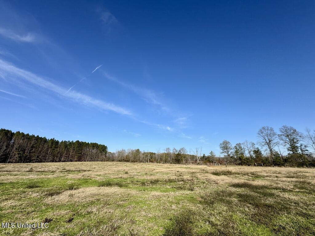 2 Johnson Line Road Bolton, MS 39041 - Photo 15 of 16 8BD0BE13-F07A-4DBF-8041-1B195028D3DD_1_1