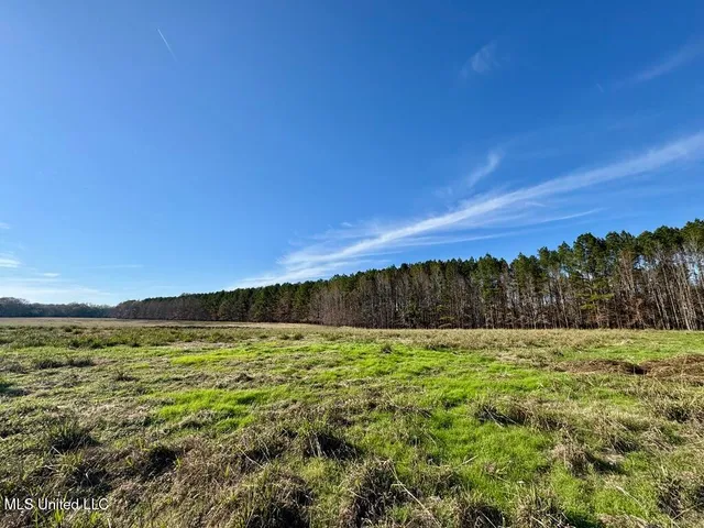 $74,500 | 2 Johnson Line Road, Bolton, MS 39041