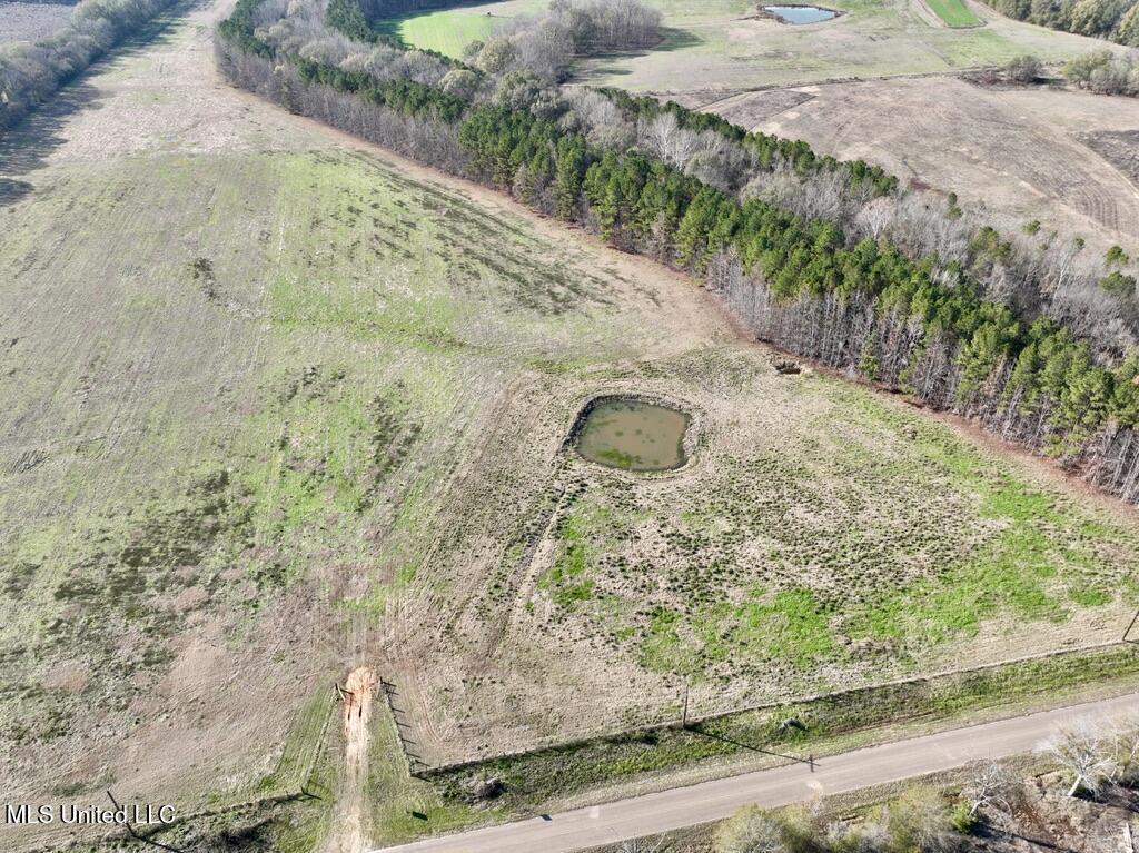 2 Johnson Line Road Bolton, MS 39041 - Photo 8 of 16 97B371A9-CC0B-4BC2-9677-D121A296BDEC_1_1