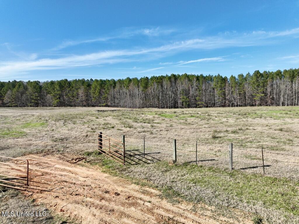 2 Johnson Line Road Bolton, MS 39041 - Photo 9 of 16 5F4CEA29-B474-41CB-9BF0-718E2C56F1C2_1_1