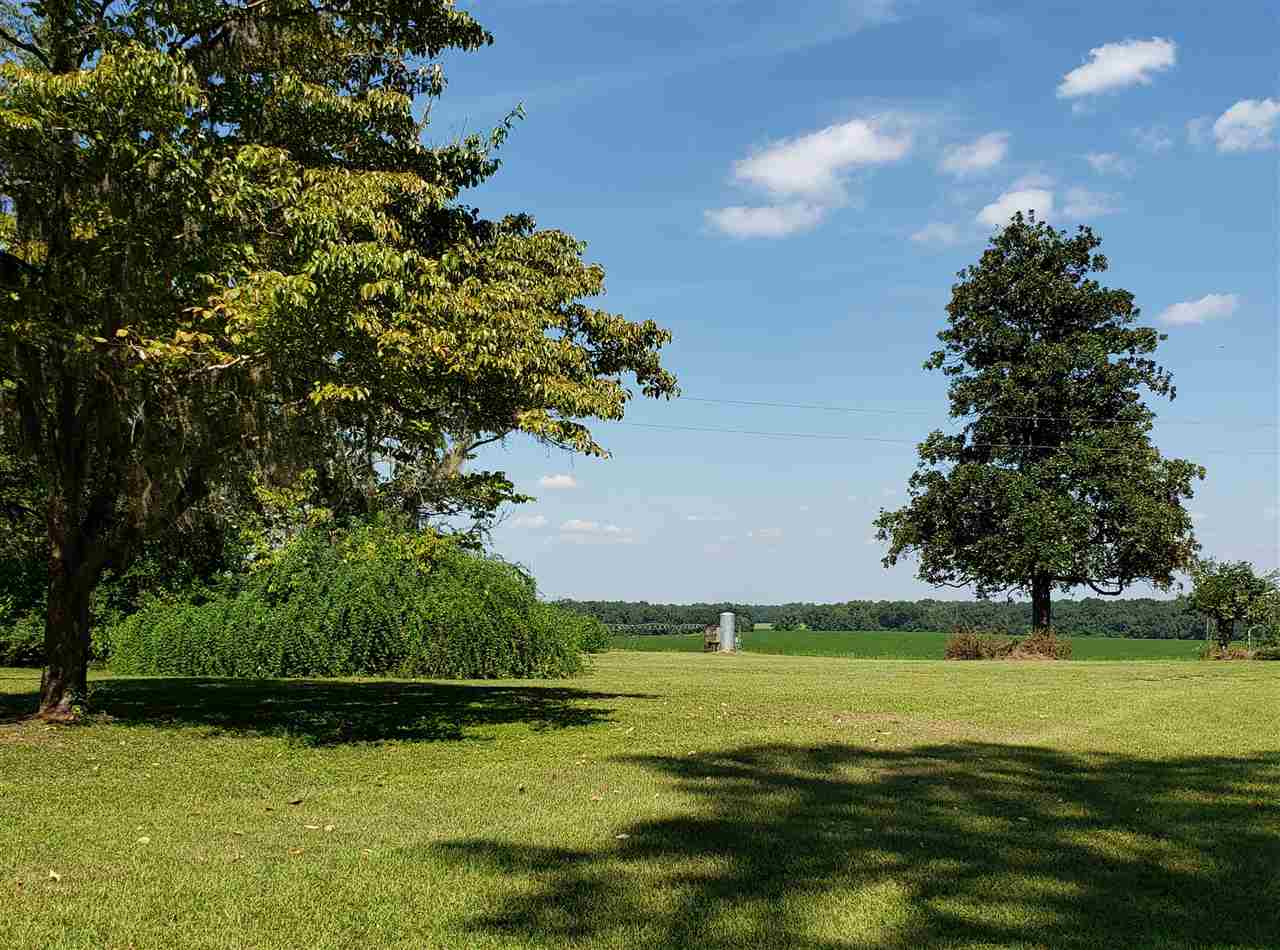 894 Northeast Oak Hill Road Pinetta, FL 32350 - Photo 1 of 35 Gallery Image 1
